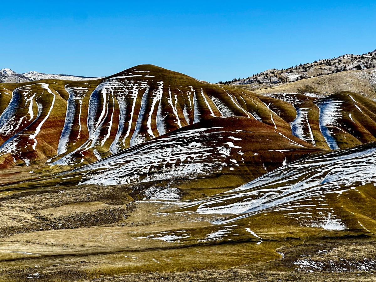 Podcast: New Favorite Things