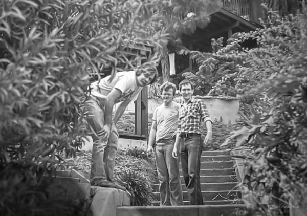 Politics, Schmolotics and Beethoven's Birthday