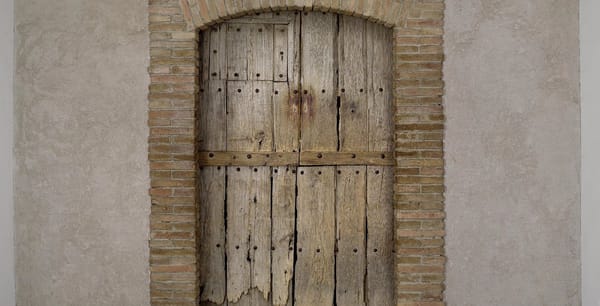 Curiosity and Fascination